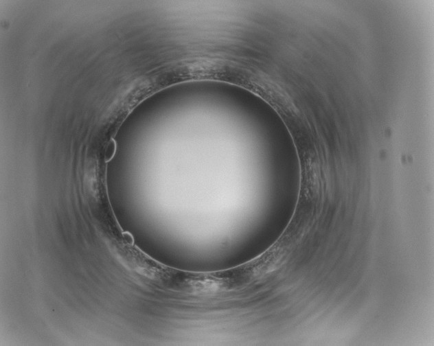 X0000073920698200608111223