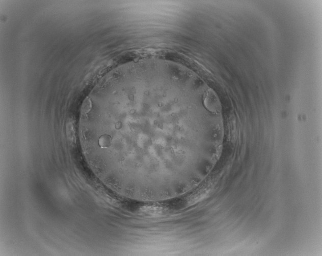 X0000073920699200608111223