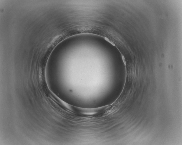 X0000073920700200608111223