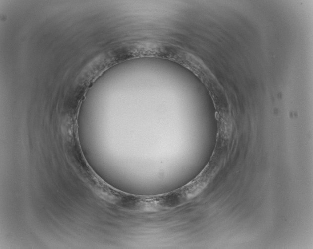 X0000073920701200608111223