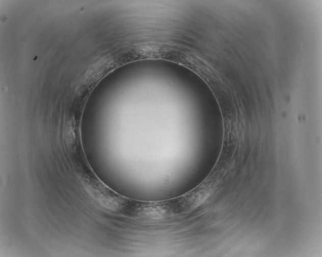 X0000073920702200608111223