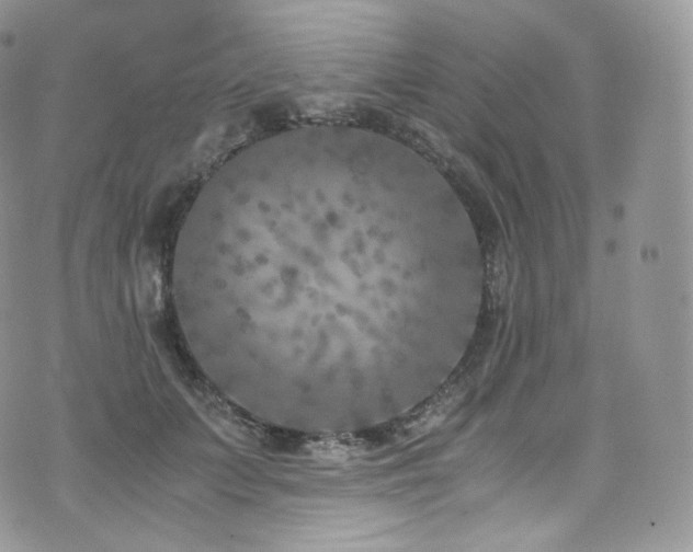 X0000073920703200608111223