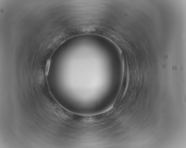 X0000073920704200608111223