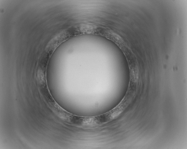 X0000073920705200608111223