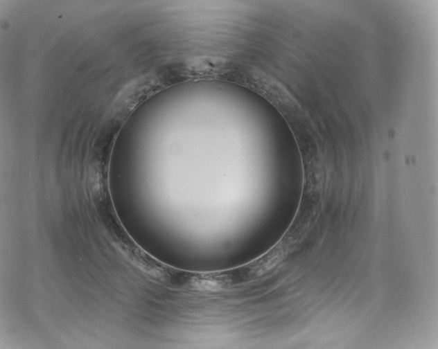 X0000073920706200608111222