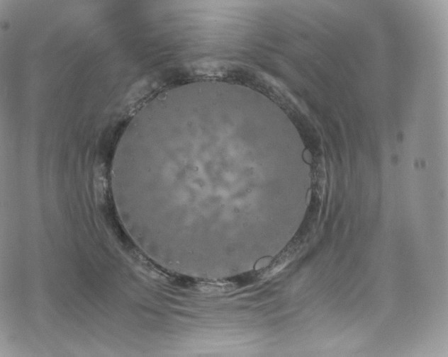 X0000073920707200608111222