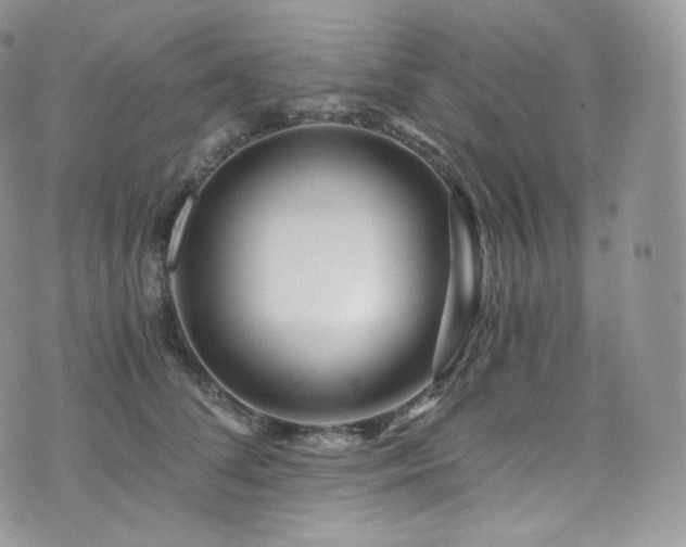 X0000073920708200608111222