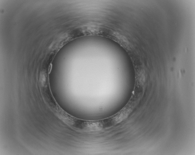 X0000073920709200608111222