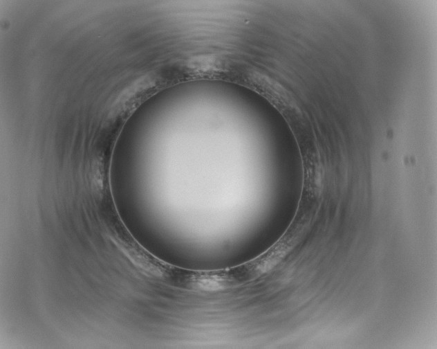 X0000073920710200608111222