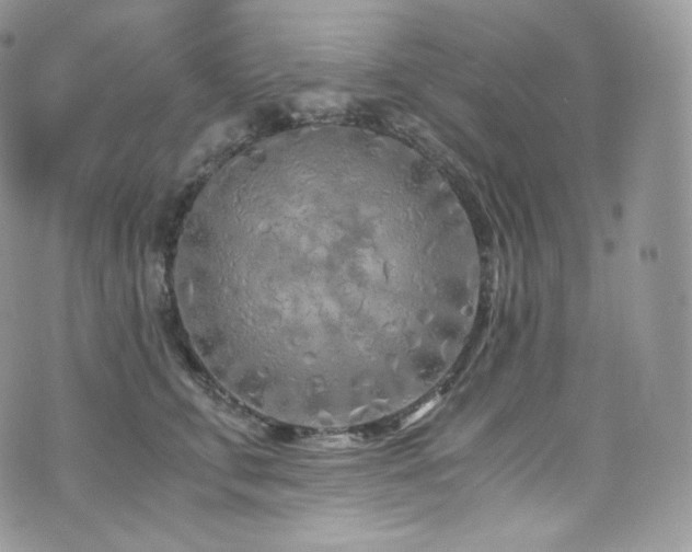 X0000073920711200608111222