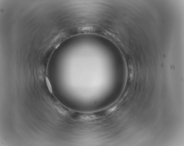 X0000073920712200608111222