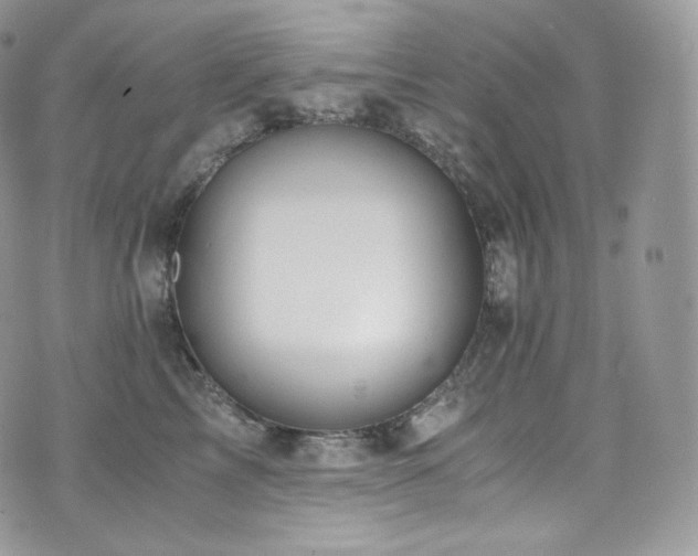 X0000073920713200608111222