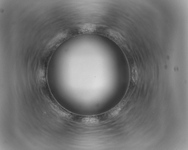 X0000073920714200608111222