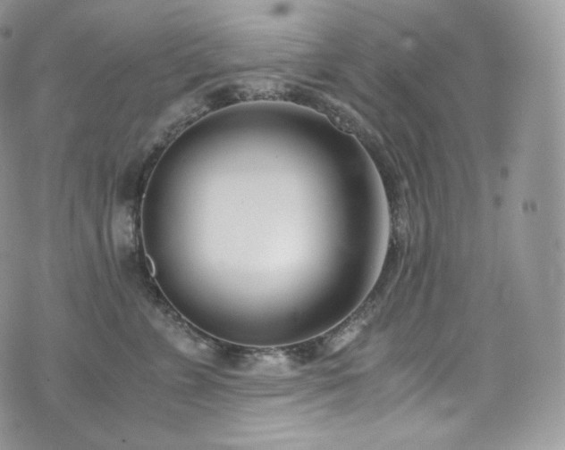 X0000073920715200608111222