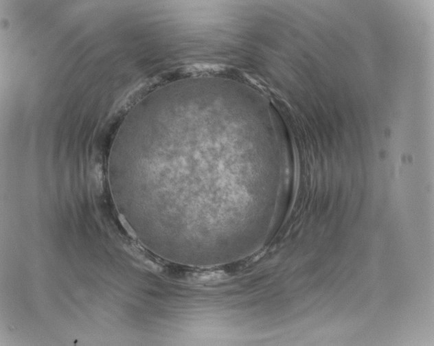 X0000073920716200608111222