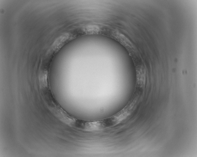 X0000073920717200608111222