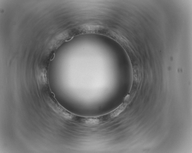 X0000073920718200608111222