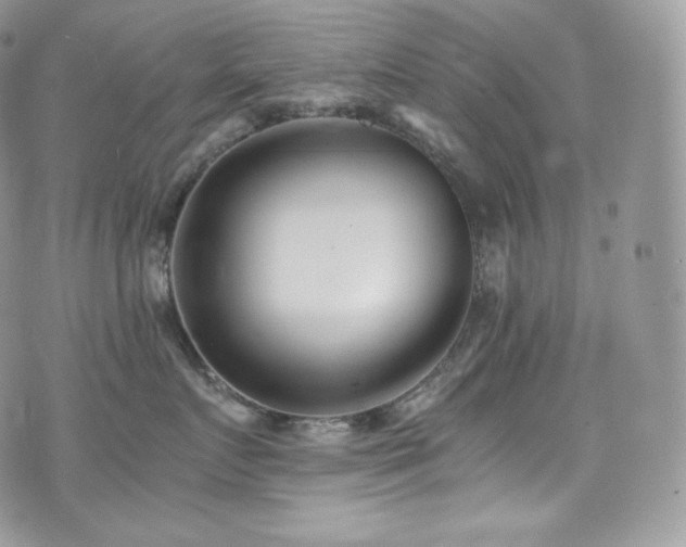 X0000073920719200608111222