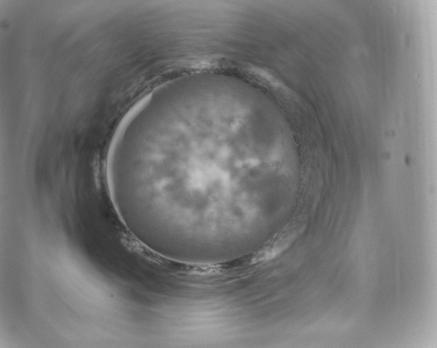 X0000073920720200608111222