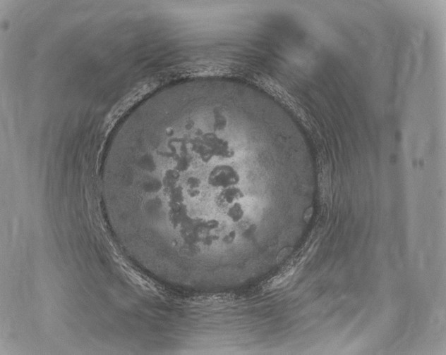 X0000073920721200608111221