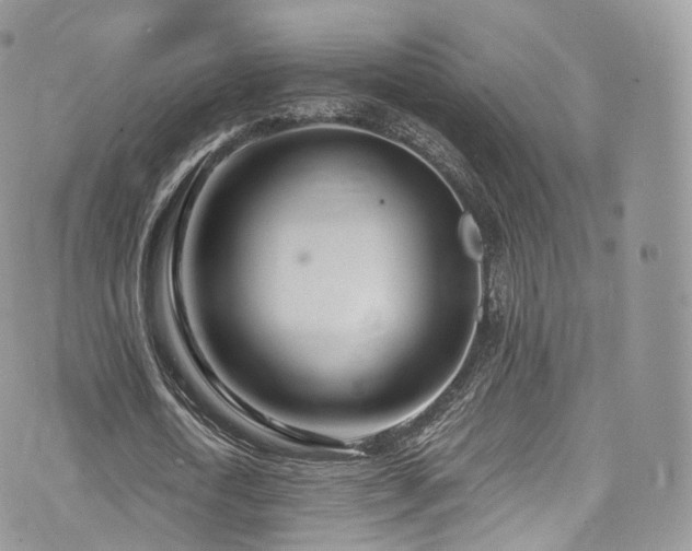 X0000073920722200608111221