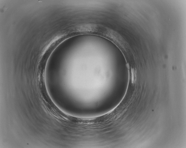 X0000073920723200608111221