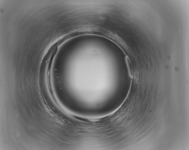 X0000073920724200608111222