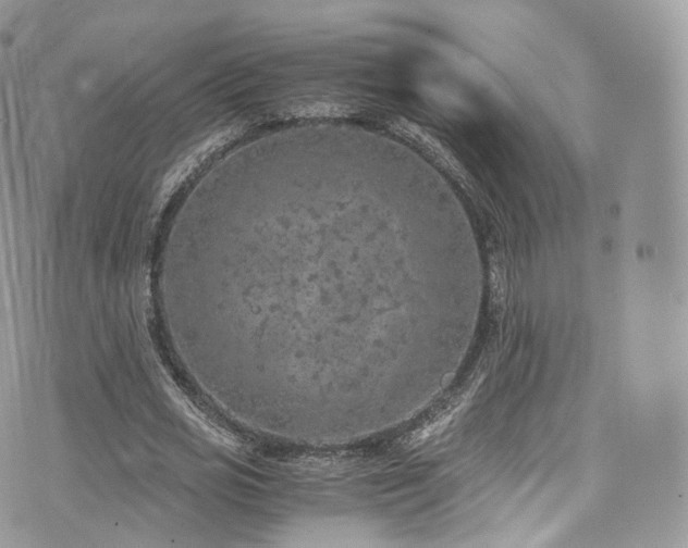 X0000073920725200608111222