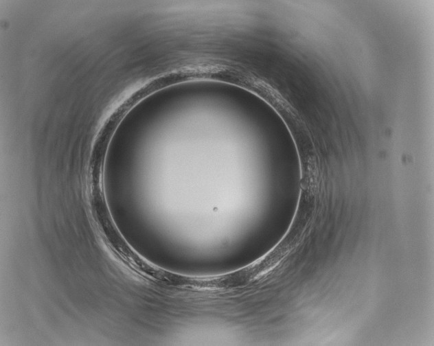 X0000073920726200608111222