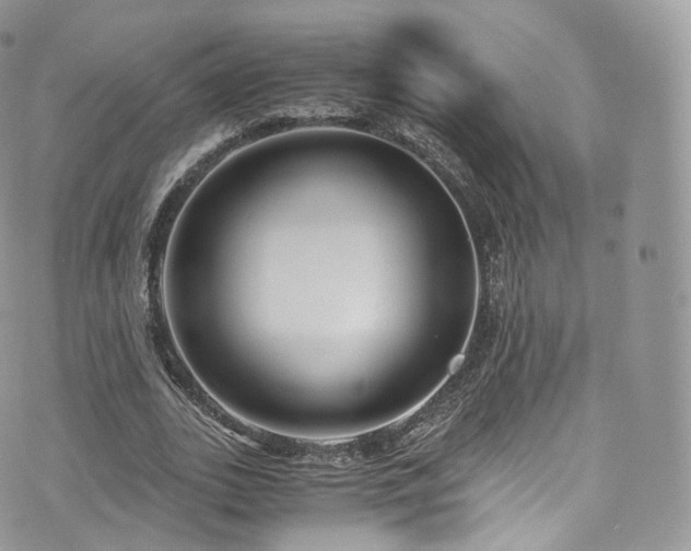 X0000073920727200608111222