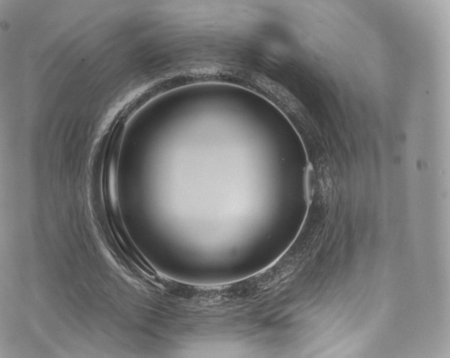 X0000073920728200608111222