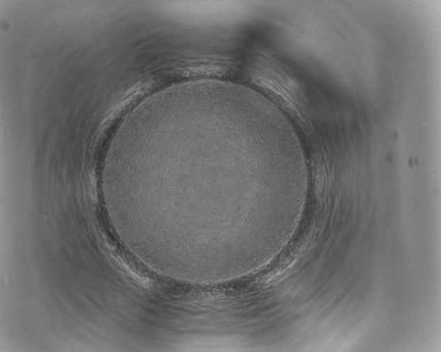 X0000073920729200608111222