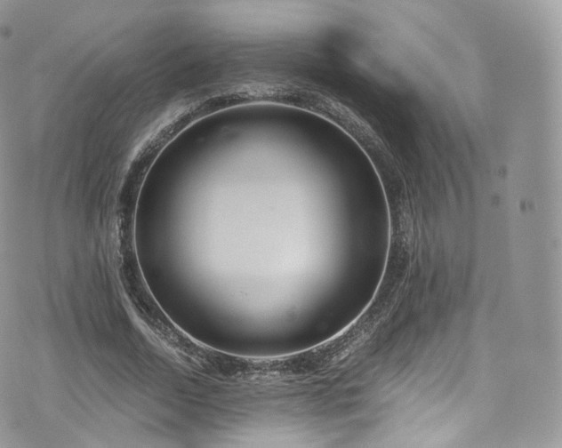 X0000073920730200608111222