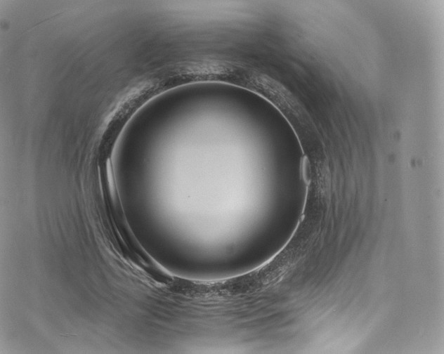 X0000073920731200608111222