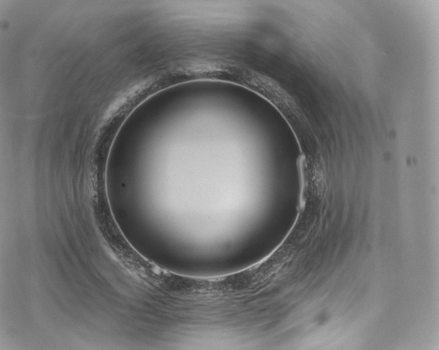 X0000073920732200608111222