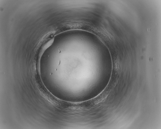 X0000073920733200608111222