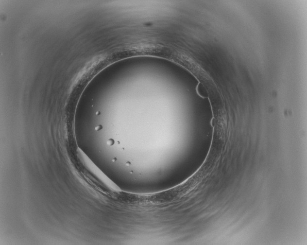 X0000073920734200608111222