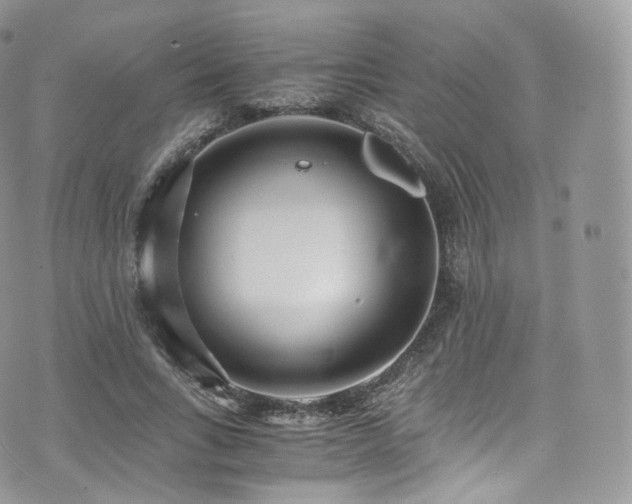 X0000073920735200608111222