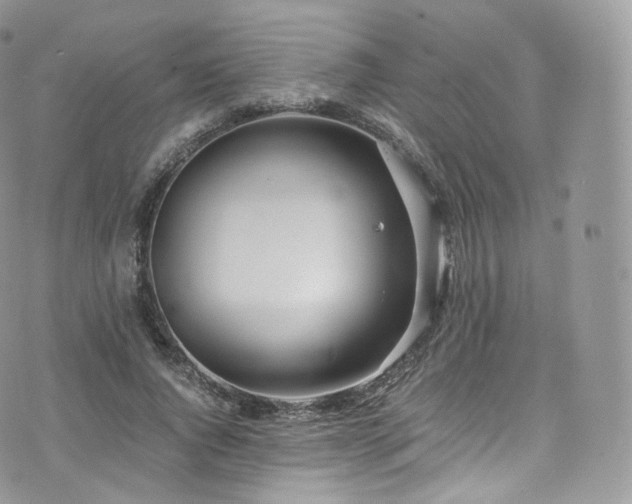 X0000073920736200608111222