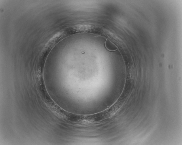 X0000073920737200608111222