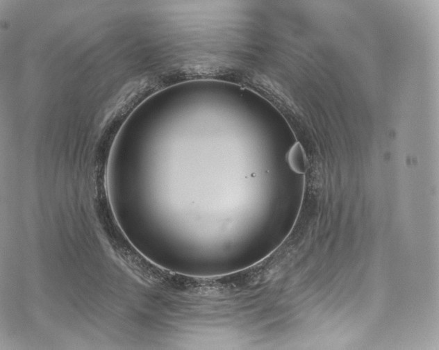 X0000073920738200608111222