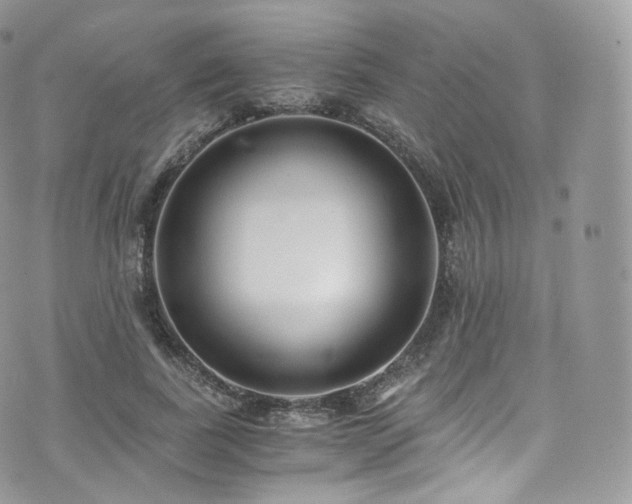 X0000073920739200608111222