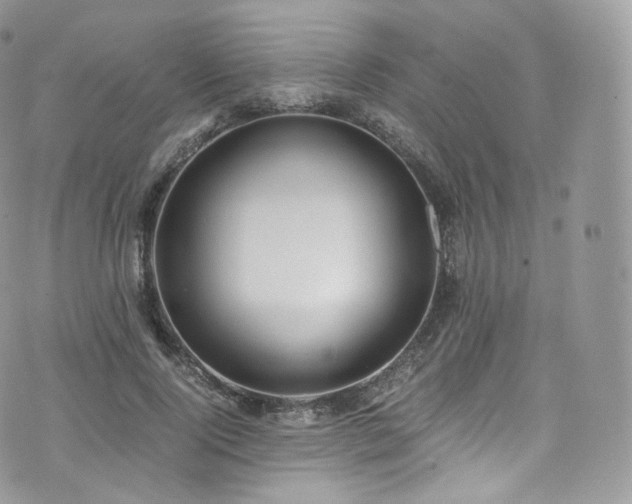 X0000073920740200608111222