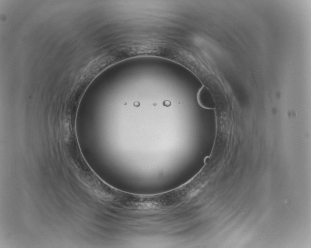 X0000073920741200608111222