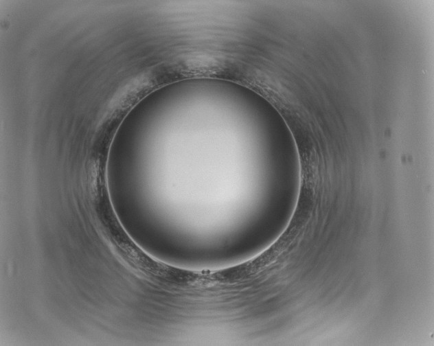 X0000073920742200608111222