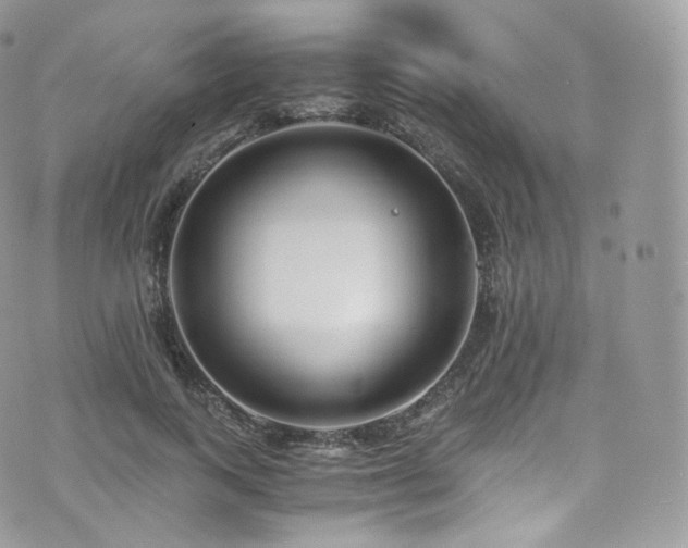 X0000073920743200608111222