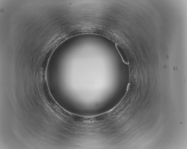 X0000073920744200608111222