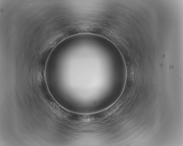 X0000073920746200608111222