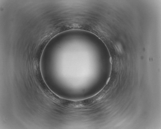 X0000073920747200608111222