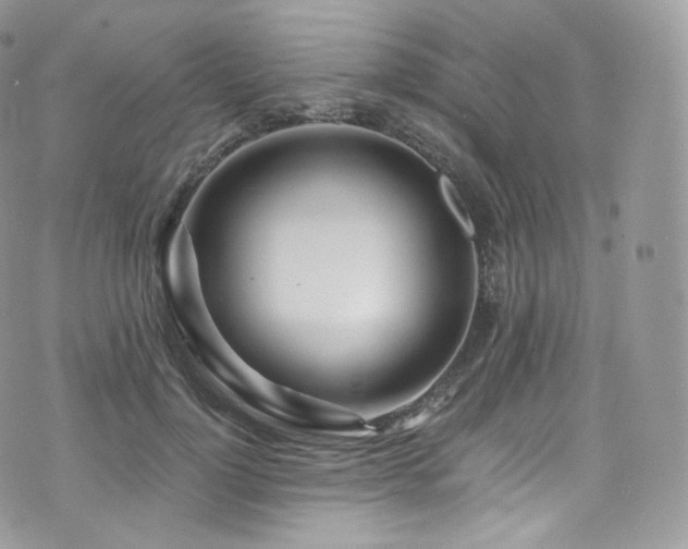 X0000073920748200608111222